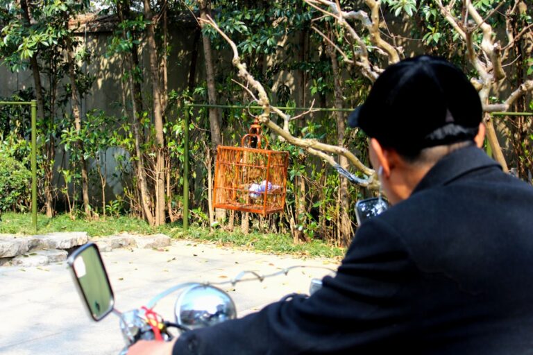 Homem Na Jaqueta Preta Sentado Perto Da Arvore Verde Durante O Dia jtUkh3OcTg4